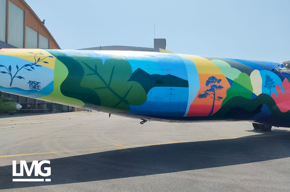photo graffiti sur avion aéroport toulouse blagnac streetart par BABE et SHEE Le Mouvement Graphique